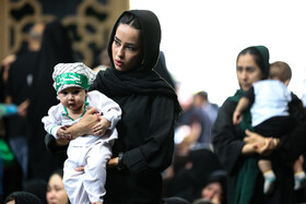 همایش شیرخوارگان حسینی - کاشان