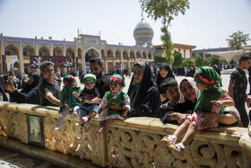 همایش شیرخوارگان حسینی - شیراز