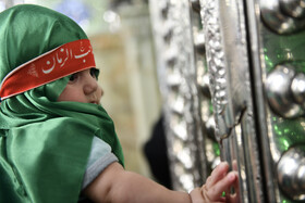 همایش شیرخوارگان حسینی - شیراز