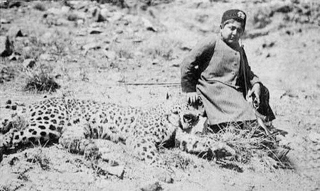 روزگاری که تهران پلنگ داشت