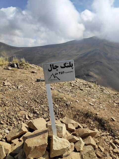 روزگاری که تهران پلنگ داشت