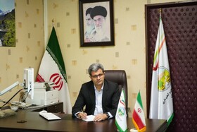 رد پای سقوط ریزپرنده‌ها در دل طبیعت کردستان