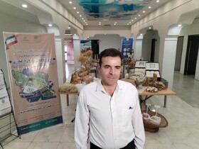ورود فناوری هسته‌ای به کشاورزی؛ معرفی ۲ رقم جدید پنبه مقاوم به خشکی در تهران