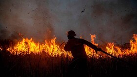 آتش‌سوزی‌های جنگلی در ترکیه؛ ۴ روستا تخلیه شد