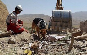 پیدا کردن ۲۰۲ مصدوم و شهید از زیر آوار توسط تیم‌های آنست/ تلف شدن ۲ قلاده سگ نجات در عملیات‌های تجسس