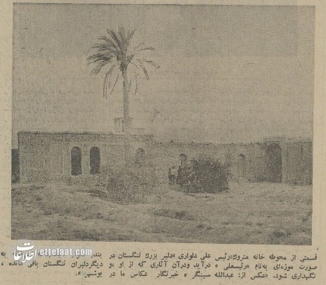 گفتوگو با همسر رئیسعلی دلواری: برای وطن میایستیم!