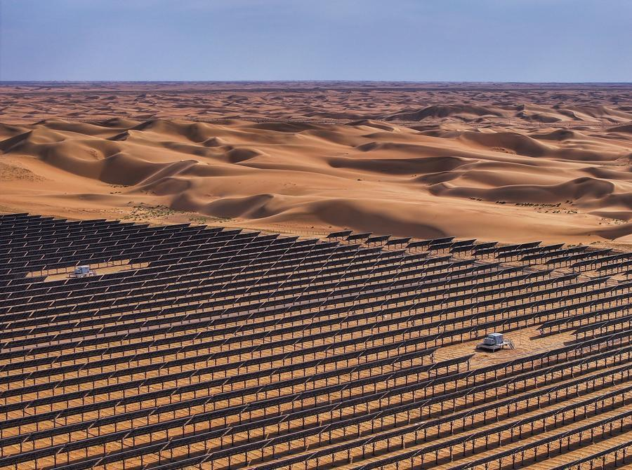 از چشم غولآسای یک نهنگ تا جنگلهای زیر دریا