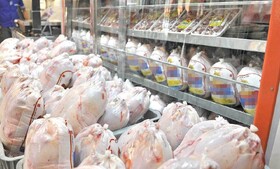 توزیع بیش از ۱۶۰۰ تن گوشت مرغ در اردبیل