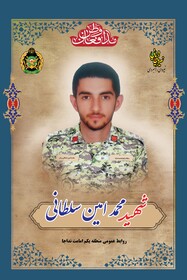 مرور زندگی‌نامه سرباز شهید مدافع وطن محمد امین سلطانی