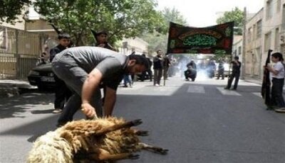 هیأتهای مذهبی هنگام ذبح دام مراقب شیوع تب کریمه کنگو باشند هیأتهای مذهبی هنگام ذبح دام مراقب شیوع تب کریمه کنگو باشند