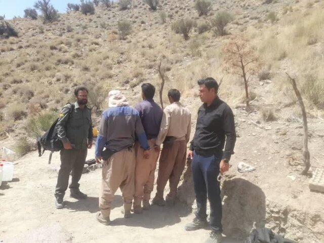 بهره‌برداری از محصولات فرعی جنگل و مرتع نیازمند اخذ مجوز است