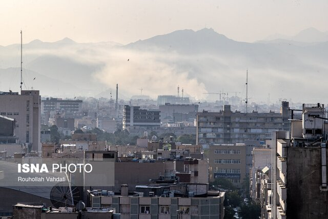 شناسایی ۹۳۵ تن از شهدای اخیر توسط پزشکی قانونی/ دستور دادستان کل برای ترک اتباع غیرمجاز از کشور/آخرین وضعیت پرونده قتل دانشجوی دانشگاه تهران