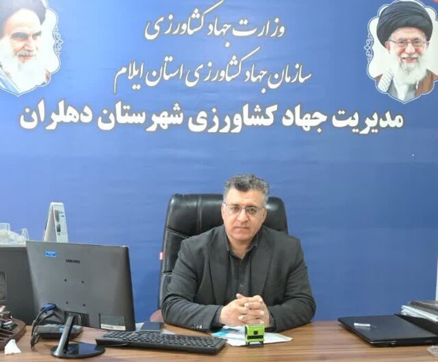دهلران جزو ۱۰ شهرستان برتر کشور در تولید گندم است/ رتبه اول عملکرد کلزا در کشور