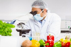 ساخت نانوحسگری که سلامت غذا را در ۱۵ دقیقه آزمایش می‌کند