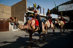 کاروان نمادین ورود به کربلا در خمینی‌شهر