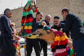 کاروان نمادین ورود به کربلا در خمینی‌شهر
