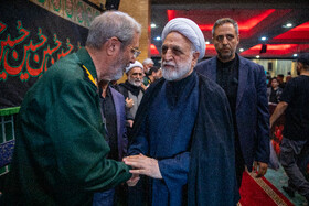 حجت‌الاسلام و المسلمین غلامحسین محسنی اژه‌ای، رئیس قوه قضائیه در مراسم یادبود شهید سرلشکر حسین سلامی