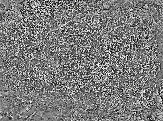 کشف یک مدرک تازه از «اورارتو»ها در شرق دریاچه ارومیه + عکس