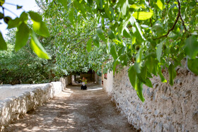 آیین سنتی جغجغه‌زنی در روستای انجدان اراک