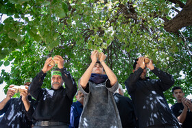 آیین سنتی جغجغه‌زنی در روستای انجدان اراک
