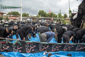 نماز ظهر عاشورا در«امام زاده یحیی» ساری