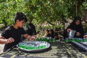 عزاداری عاشورای حسینی در روستای «اروانه» - سمنان