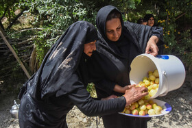 عزاداری عاشورای حسینی در روستای «اروانه» - سمنان