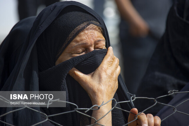 تزیینی است اعلام برنامههای مجلس تعزیه