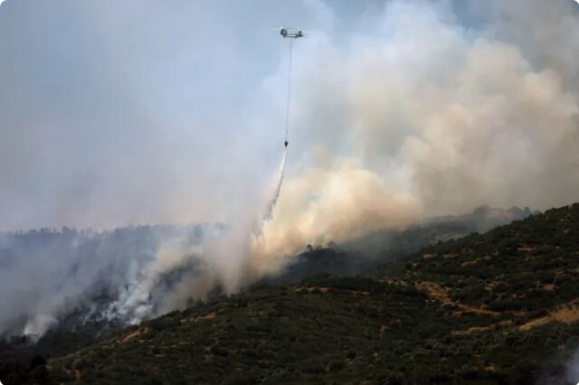 گسترش حریق جنگلی در مرز ترکیه و سوریه؛ روزهای ملتهبِ اروپا و مدیترانه+فیلم