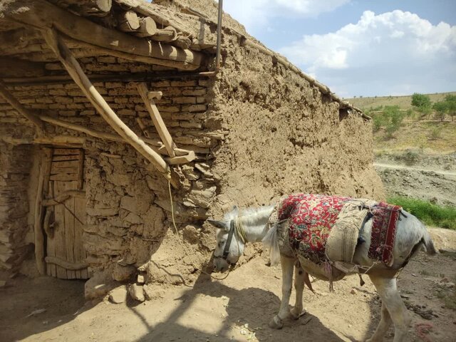 روستای علمدار ملایر؛ نگینی تاریخی در آغوش زاگرس، کم آب ولی زنده