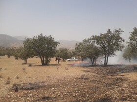 آتش‌سوزی در منطقه حفاظت شده دنا