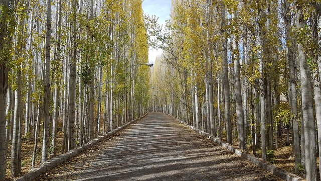 اجرای محور گردشگری چله‌گاه در سپیدان