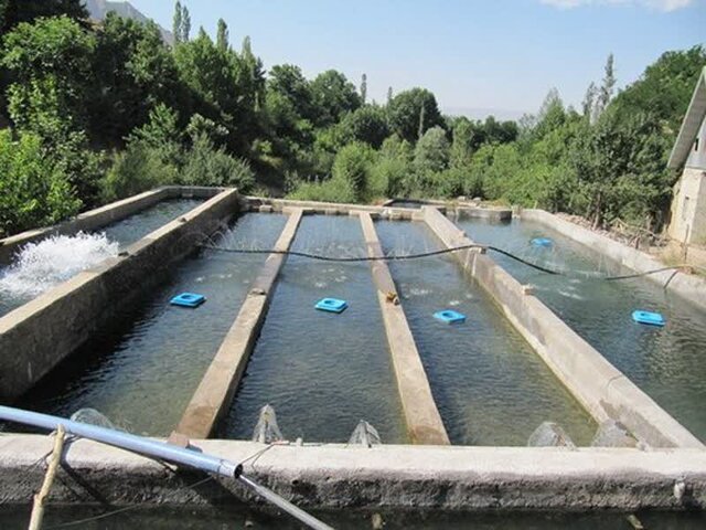 بازگشت مزرعه پرورش ماهیان سردآبی در اردبیل به چرخه تولید