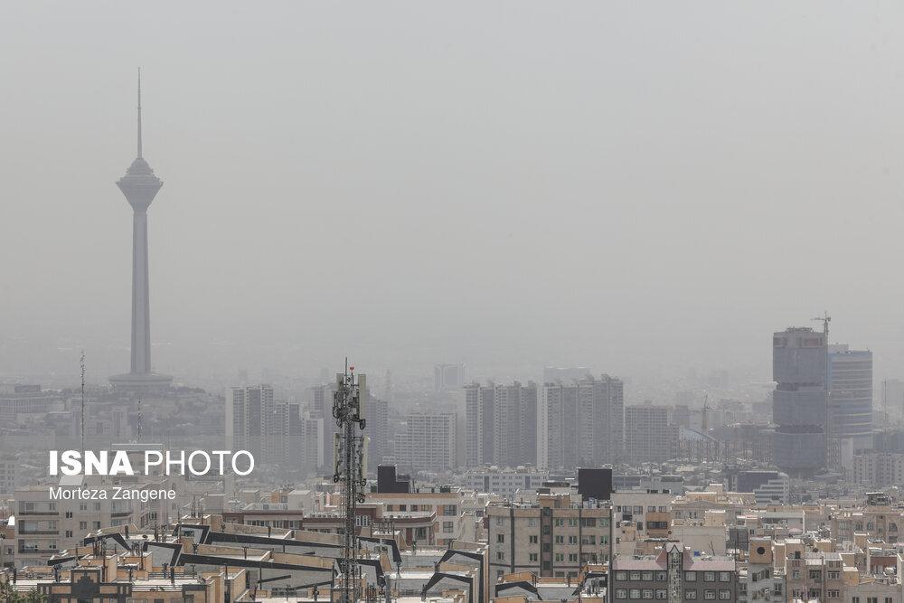 ذرات معلق هوای تهران شامل چه عناصری است؟