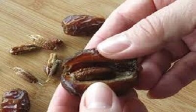 هسته خرما منبعی برای پیشگیری از دیابت، سرطان و بیماری‌های قلبی