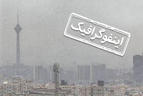 اینفوگرافیک/ برای مقابله با ریزگردها چه غذاهایی مصرف کنیم؟
