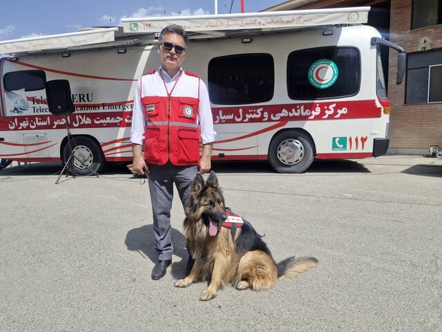 سگ زنده یاب؛ نجات جان با بوی بدن از زیر آوار