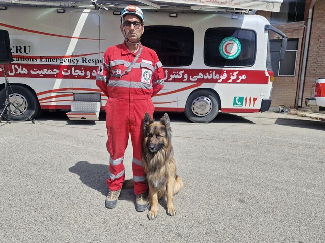 سگ زنده یاب؛ نجات جان با بوی بدن از زیر آوار