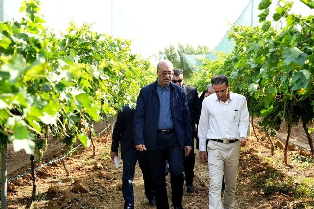 باید به سمت کشاورزی مدرن و هوشمند حرکت کنیم