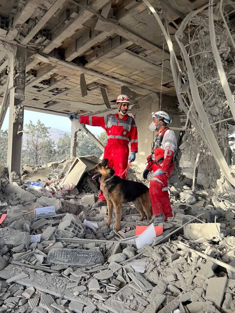 فعالیت ۱۱۰ سگ زندهیاب در کشور/اعلام هزینه نگهداری سالانه و سن بازنشستگی سگهای تجسس امداد و نجات