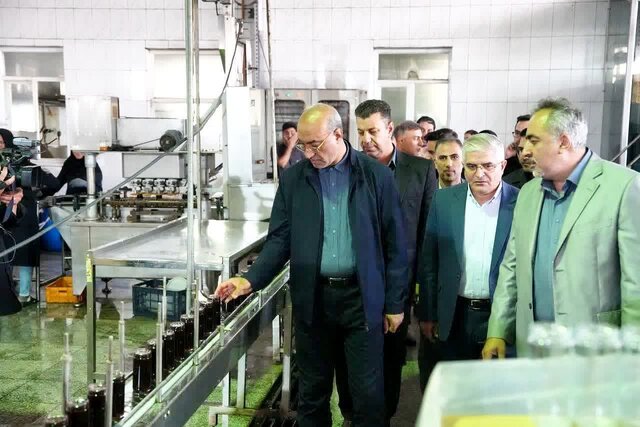 باید به سمت کشاورزی مدرن و هوشمند حرکت کنیم