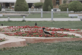 اصفهان در محاصره گرد و غبار