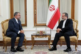 سفیر برزیل رونوشت استوارنامه خود را تسلیم عراقچی کرد