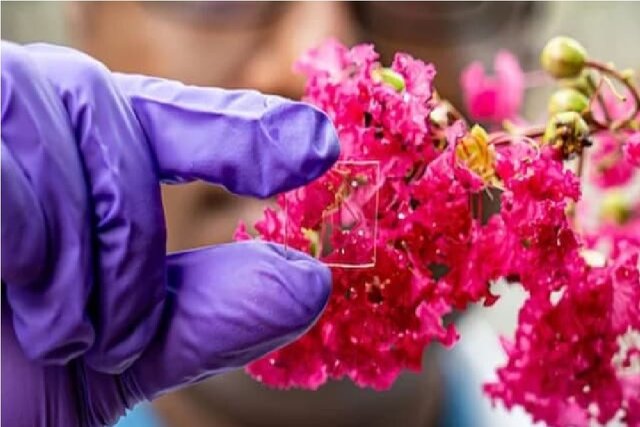 پوشش شیشه‌ای منحصربه‌فرد برای مقابله با گرما، سرما و اشعه فرابنفش