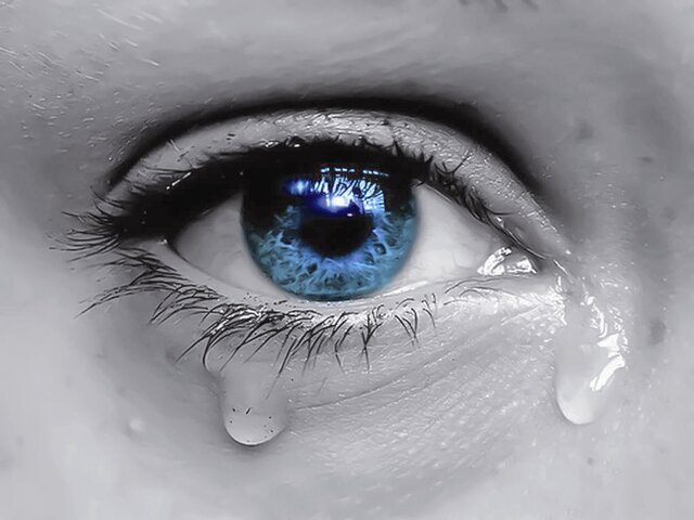 پیوندی از جنس امید، ایثار و زندگی/ اهدای ۲۳۰ قرنیه چشم در «بهشت احمدی» شیراز پیوندی از جنس امید، ایثار و زندگی/ اهدای ۲۳۰ قرنیه چشم در «بهشت احمدی» شیراز