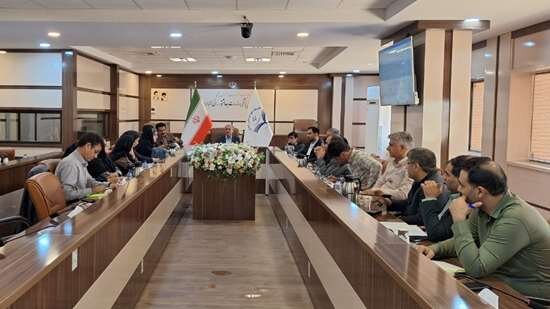 لزوم اجرای طرح‌های نجات بخش برای پیشگیری از مرگ مادران باردار