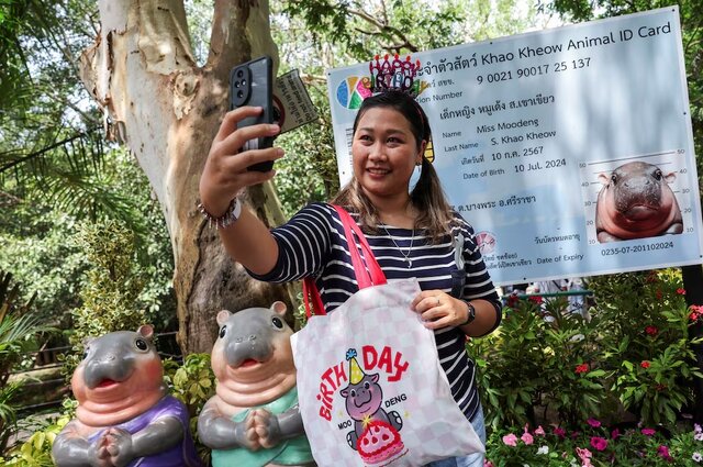 هجوم طرفداران به جشن تولد اسبآبی مشهور