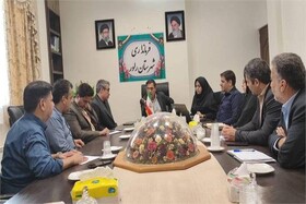 اتصال ۸۸ درصد جمعیت روستایی شهرستان راور به شبکه ملی اطلاعات برقرار شد