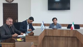 نشست تخصصی پیشرانان مشاغل خانگی در اردبیل برگزار شد