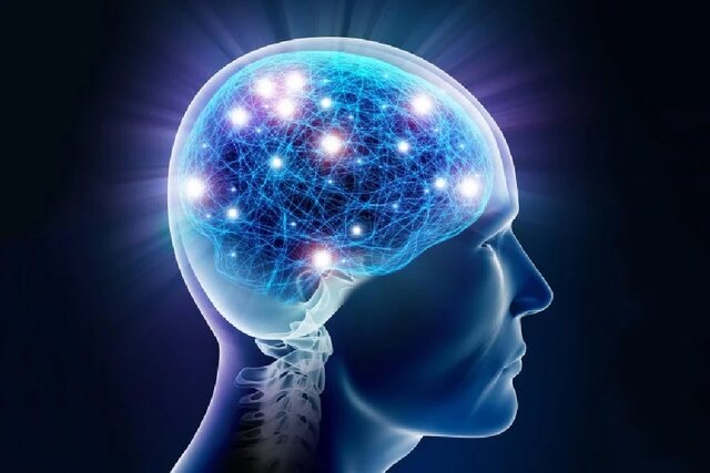 آیا «هوش» ارثی است؟